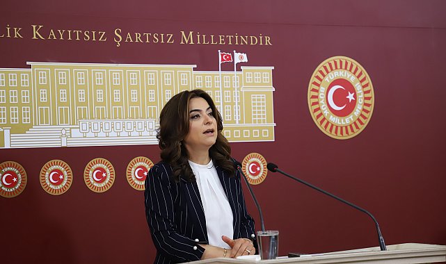 DEM Parti'li Koçyiğit: Sürecin geciktirilmesini doğru bulmuyoruz