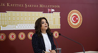 DEM Parti'li Koçyiğit: Sürecin geciktirilmesini doğru bulmuyoruz