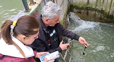 Derede ve balık havuzlarında toplu balık ölümlerine inceleme