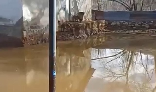 Derenin taştığı köyde ev ve ahırları su bastı