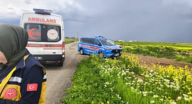 Diyarbakır'da kaybolan 3 yaşındaki Yazgül için arama çalışması başlatıldı