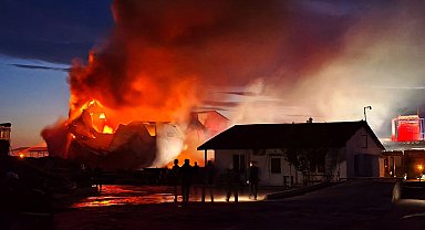 Edirne'de kereste fabrikasında yangın