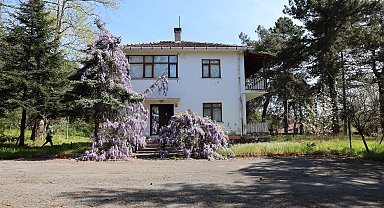 Filozof Teoman Duralı Müzesi projesi için inceleme yapıldı