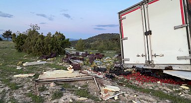 Freni boşalan sebze yüklü TIR ağaca çarparak durabildi