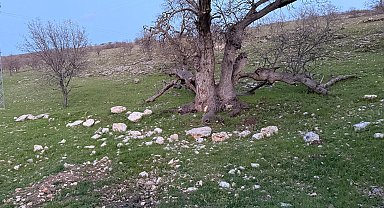 Gizli tanığın ifadesi sonrası Gülistan Doku, 18 noktada 40 kilometrelik alanda arandı