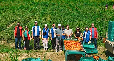 Gönüllü Hasat Etkinliği 20026 takvimi açıklandı