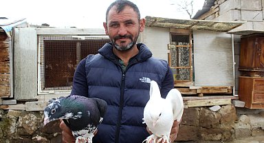 Hobi olarak başladığı güvercin tutkusunu 35 yıldır sürdürüyor