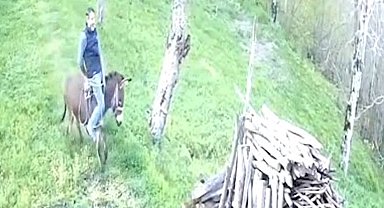 Huysuzlanan eşekten düştü; o anlar kamerada