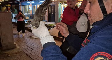 İpe dolanan ebabili kurtarmak için cadde trafiğe kapatıldı