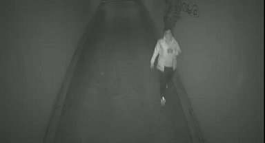 Kadıköy'de lüks sitelerden hırsızlık yapan 2 şüpheli yakalandı