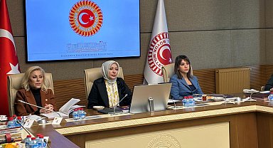 Kamu Denetçisi Benli: Cinayete maruz kalan kadınların yüzde 88'inin koruma kararı yok