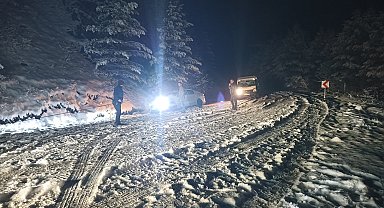 Kastamonu'da nisan karı