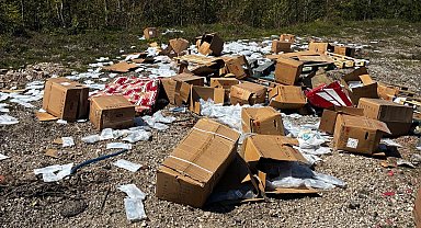 Kastamonu'da serum yüklü kamyonet takla attı