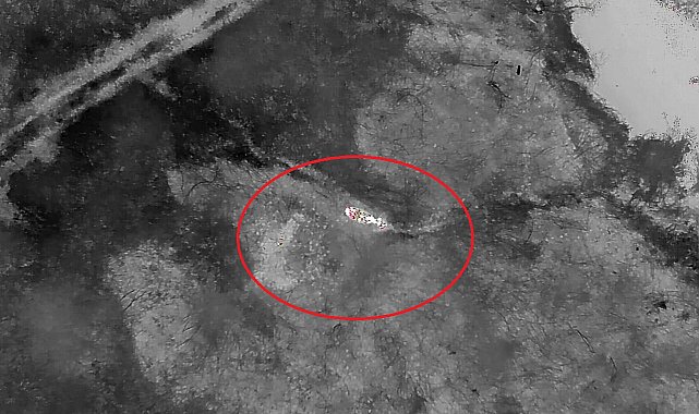 Kaybolan gebe inek, doğum yapmış halde AFAD ekiplerince bulundu