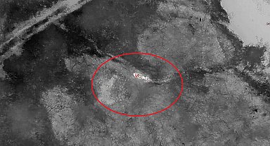 Kaybolan gebe inek, doğum yapmış halde AFAD ekiplerince bulundu