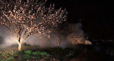 Kayısı üreticileri olası zirai don nöbetinde