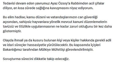 Köpek saldırısında ölen 5 yaşındaki Hamza toprağa verildi