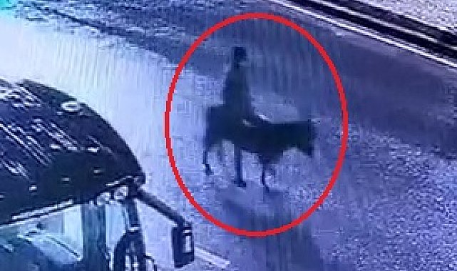 Kuyumcu dükkanından ziynet eşyası çalıp, eşekle kaçan sanığın verdiği zarar hesaplanacak