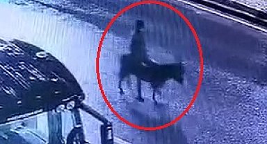 Kuyumcu dükkanından ziynet eşyası çalıp, eşekle kaçan sanığın verdiği zarar hesaplanacak