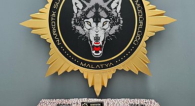 Malatya'da uyuşturucu operasyonuna 2 gözaltı