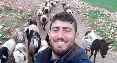 Mardin'de çobanın öldürüldüğü silahlı saldırıya ilişkin 5 tutuklama