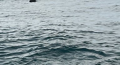 MSB: İğneada açıklarında tespit edilen mayın imha edildi