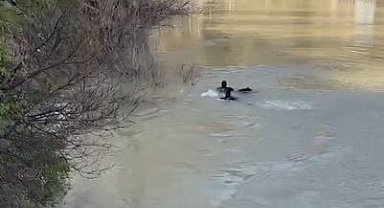 Munzur Nehri'nde kadın cesedi bulundu
