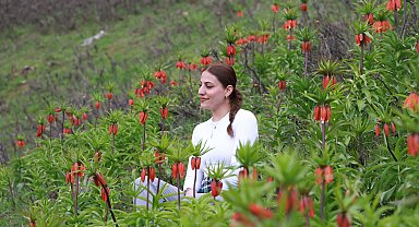 Muş'un zirveleri ters lalelerle renklendi