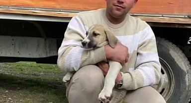 Ordu'da ciple çarpışan motosikletin sürücüsü öldü