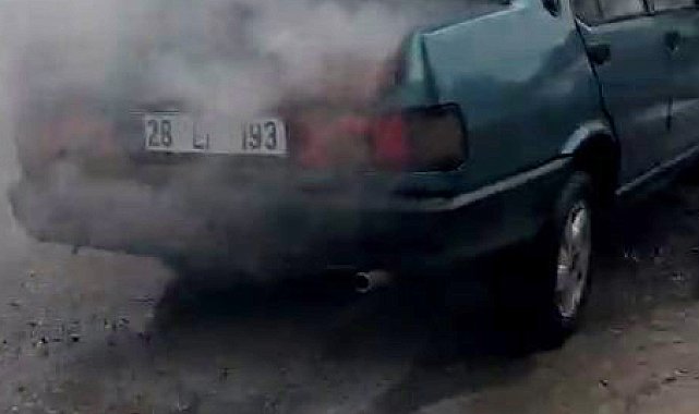 Ordu'da park halindeki otomobilde yangın