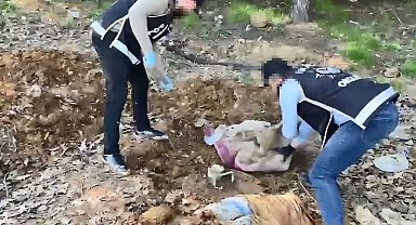 Pendik'te düzenlenen operasyonda toprak altındaki depoda binlerce silah parçası bulundu