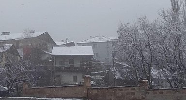 Posof'ta kar yağışı etkili oldu