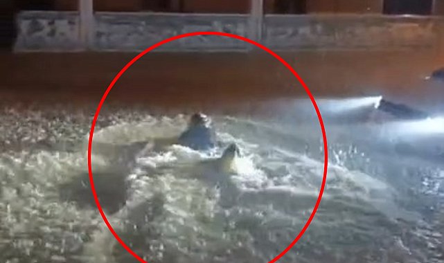 Sağanakta göle dönen sokakta yüzdü