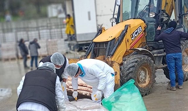 Sakarya'da 32 ton son tüketim tarihi geçmiş tavuk eti ele geçirildi