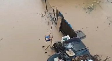 Siirt'te sağanak nedeniyle dere taştı, ev ve arazileri su bastı
