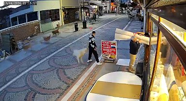 Sokak köpeğinin saldırısında yaralandı; o anlar kamerada