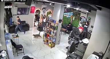 Sultangazi'de kuaför salonunda kedi kovaladı müşteriler kaçtı