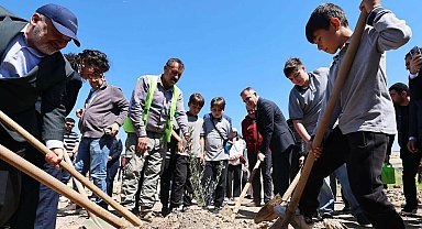 Taşınan her zeytin ağacı için yeni bir fidan: Milas'ta 4 bin fidan toprakla buluştu