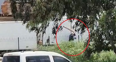 Tavuklarını yediği gerekçesiyle sokak köpeğini sopayla döven kişi gözaltında