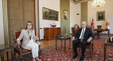 TBMM Başkanı Kurtulmuş, Bosna Hersek'in Ankara Büyükelçisi Colakovic'i kabul etti