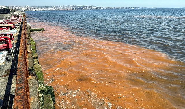 Tekirdağ sahilinde alg patlaması nedeniyle deniz turuncu renge büründü