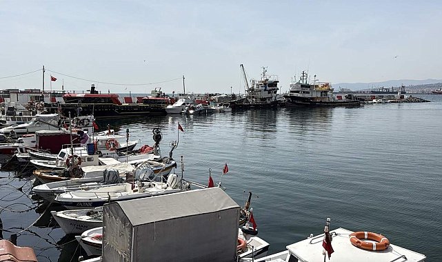 Tekirdağ'da balıkçılar, sezondan memnun