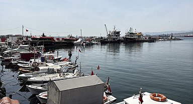 Tekirdağ'da balıkçılar, sezondan memnun