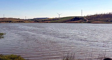 Tekirdağ'da gölette toplu balık ölümlerine inceleme