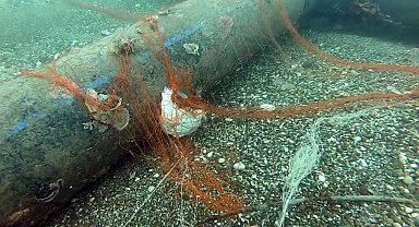 Temizlenen 'hayalet ağlar' ile 1,5 milyon deniz canlısı kurtarıldı