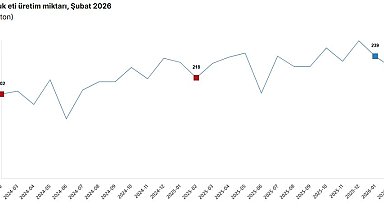 TÜİK: Aylık yumurta, tavuk eti ve içme sütü üretimi azaldı