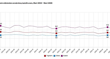TÜİK: İşsizlik martta yüzde 0,3 azaldı