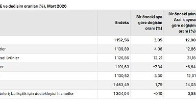 TÜİK: Tarım üretici fiyatları martta arttı