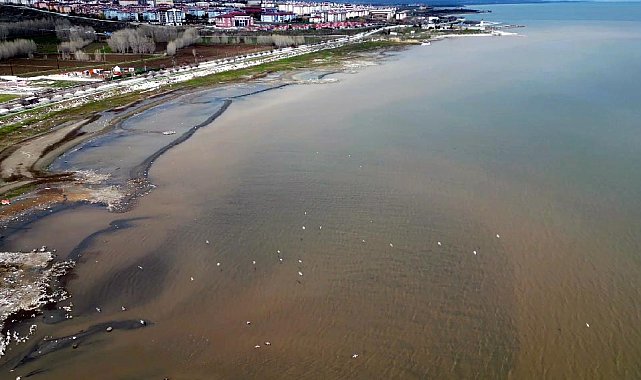 Van Gölü kıyılarında suyun rengi kahverengiye döndü