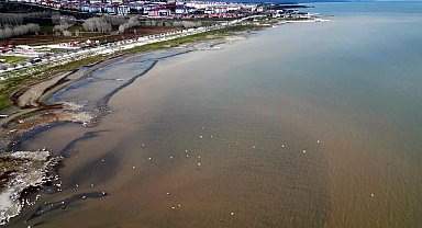 Van Gölü kıyılarında suyun rengi kahverengiye döndü